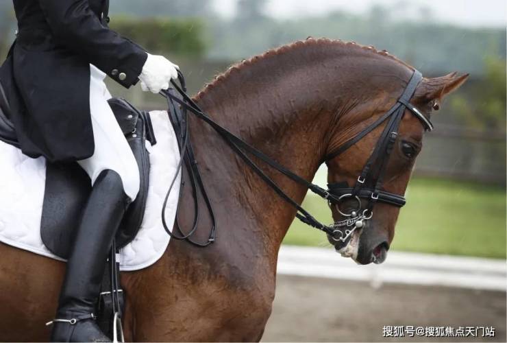 上海象屿天誉蘭香营销中心官网│「天誉蘭香」2026售楼处-楼盘价格户型地址前台电话环境配套交房时间售楼处电话(图29)