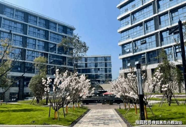 西湖铂悦城楼盘详情丨西湖铂悦城房价西湖铂悦城户型图铂悦城小区环境