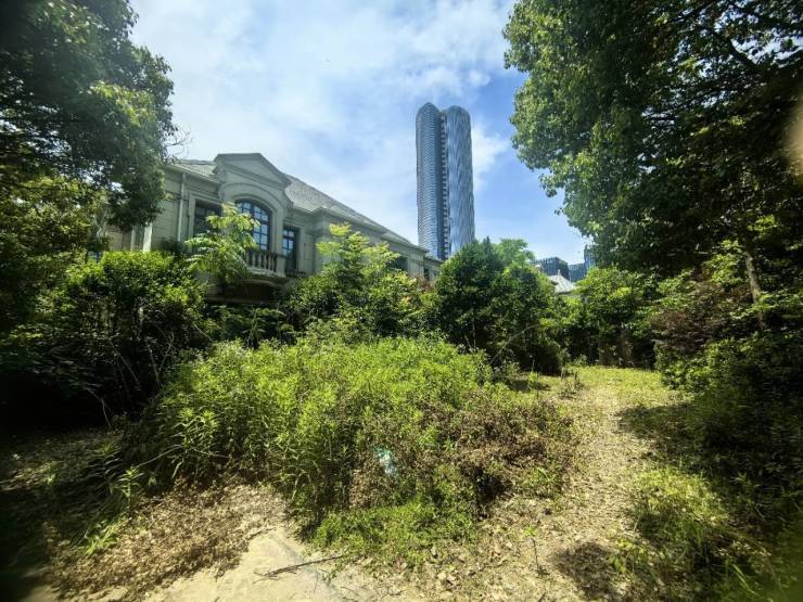 首页-翠屏诚园南区售楼处直销网站|ai看房|线上顾问实时解答|楼盘详情