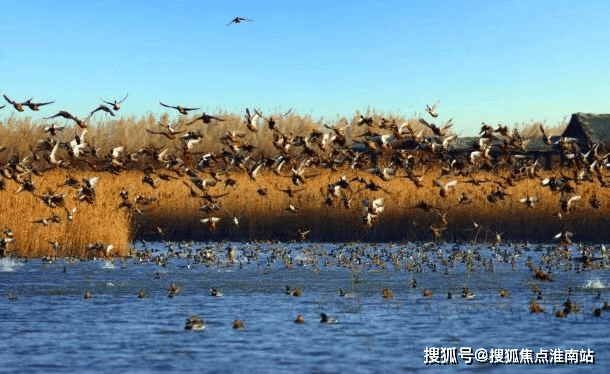 商业配套方面:生态实验社区已规划了高端完善的商业配套,建成后区域