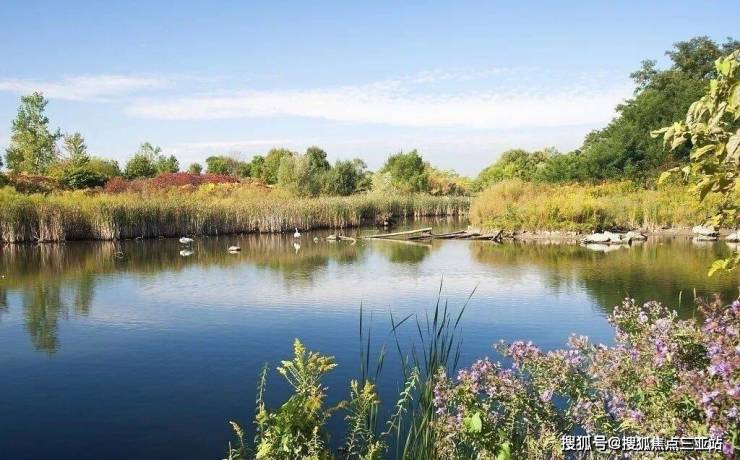 三亚海映江湾三亚正芯·江海和鸣·临河瞰海·公园居