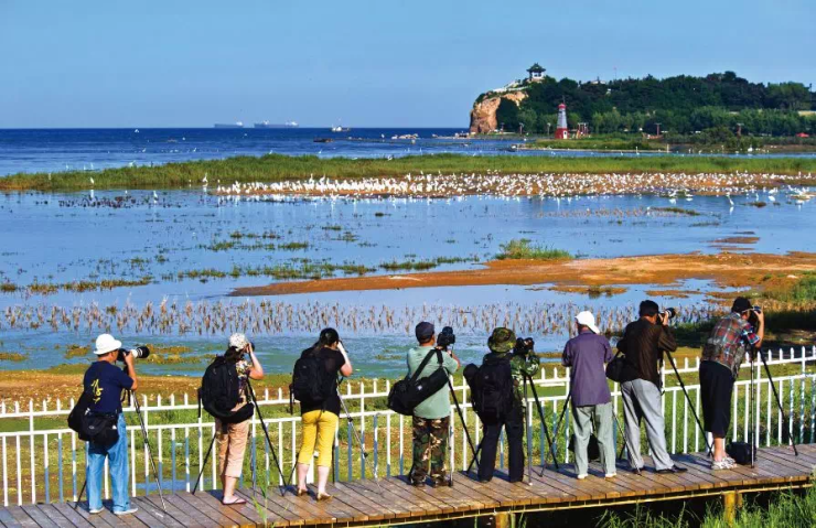 北戴河:开启旅游业发展新纪元
