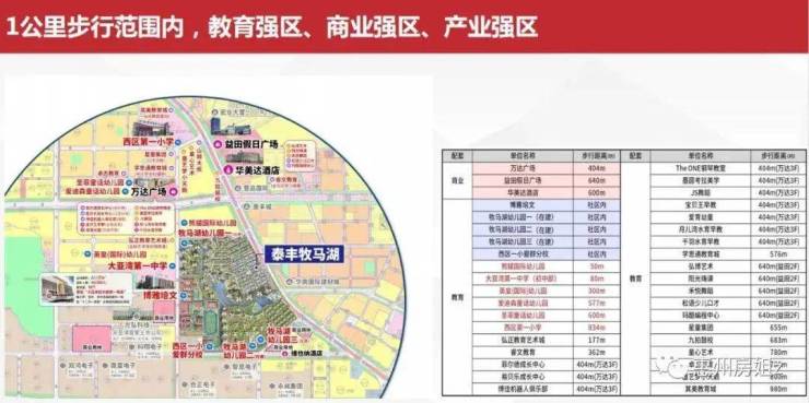 惠州网站建设项目方案_惠州网站建设项目方案公示