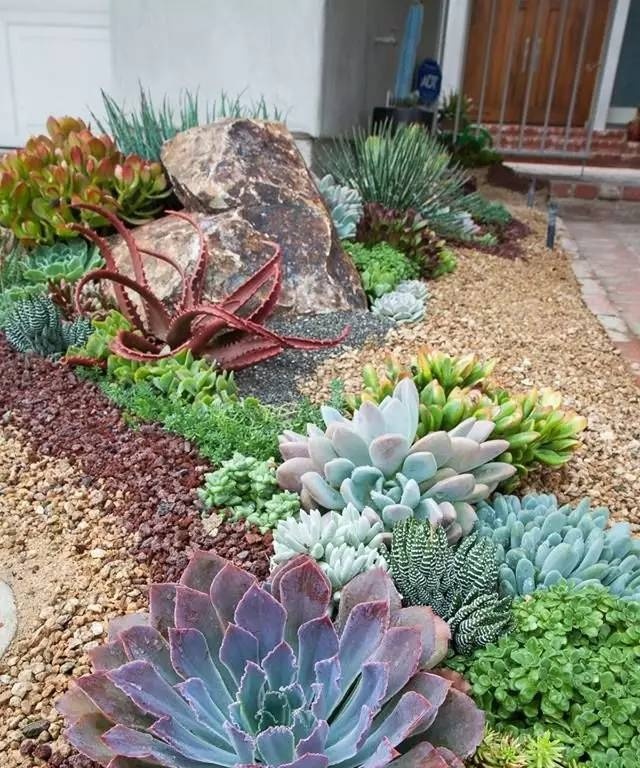 用多肉来做户外景观太任性了