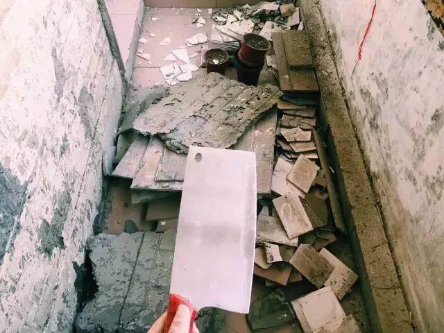 e82020f6-c811-4868-9ba7-6567cb72a39f.JPEG