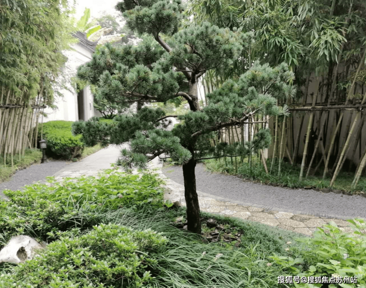 JN江南平台苏州中式园林别墅苏州桃花源独栋 别墅多套房源可选 私藏一座江南园林看房预约热线(图9)