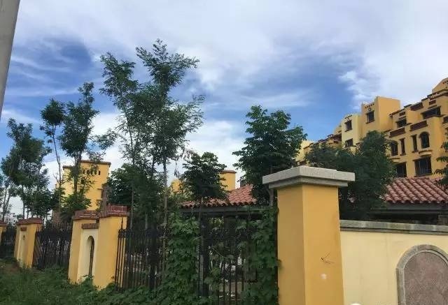 于是,出现了   尧王·洋溪花林与尧王·香山丽墅   它让房子生长在