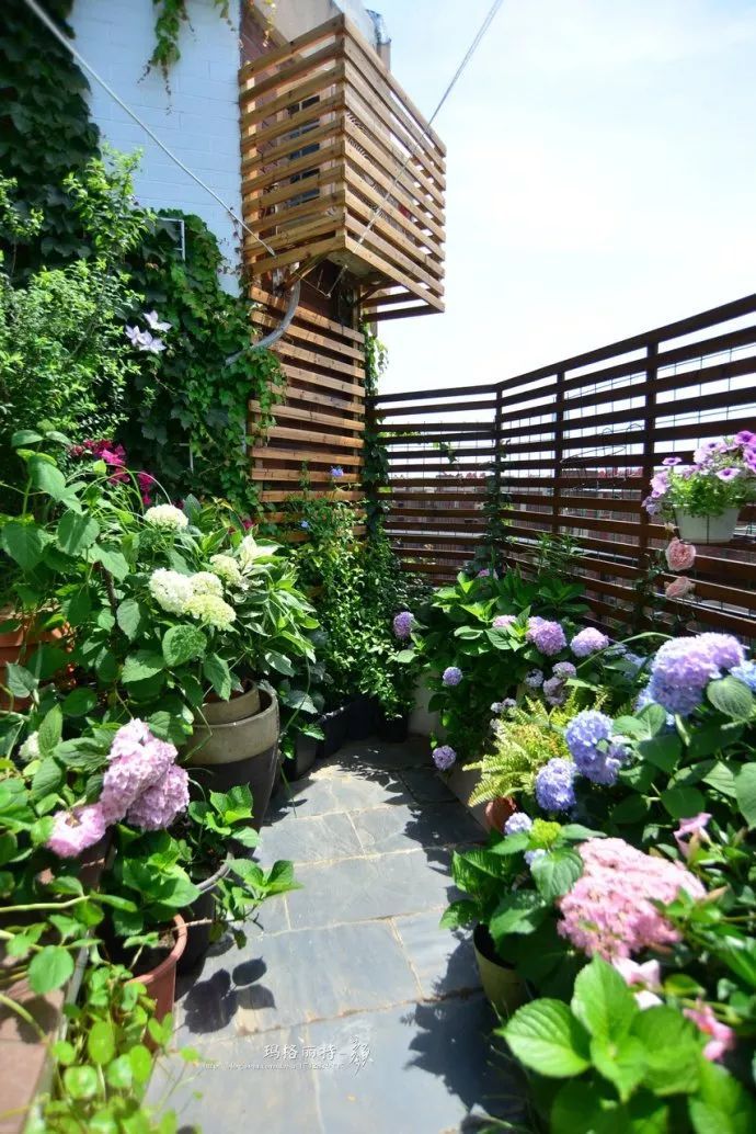 她在楼顶悄悄建了座梦想花园,美翻了!这才是把日子过成诗