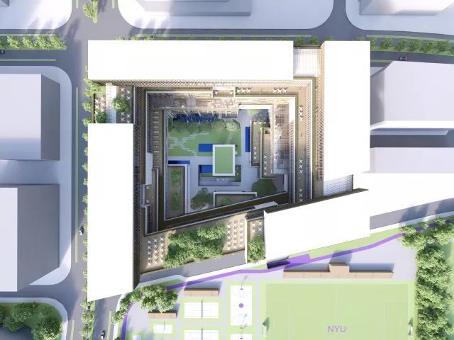 上海纽约大学正式落户前滩新校区样子令人震惊
