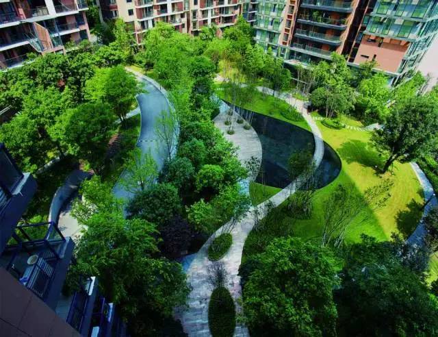 一文,揭秘龙湖五维景观!