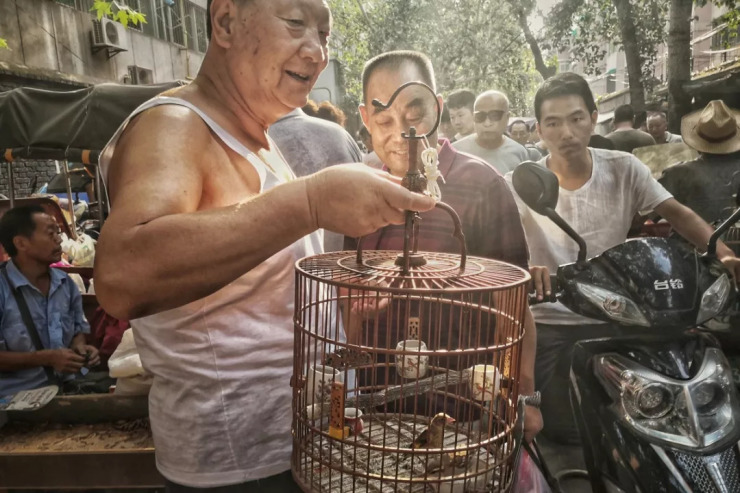 较美市井里藏着中国人真正的生活