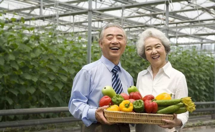 农业+养老:未来休闲农业发展的一大趋势,如何