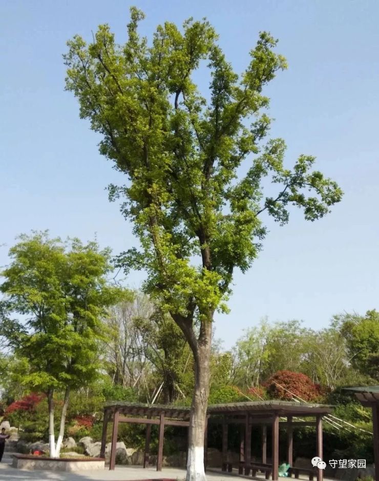 徐州又建一个大公园啦,有5个云龙公园那么大!快看看在哪