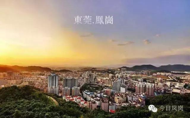 为什么凤岗每天都在修路却天天堵车