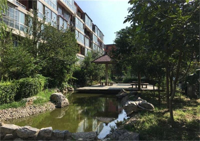 法拍房 司法拍卖 北七家温泉花园 南北通透 成熟社区 仅契税