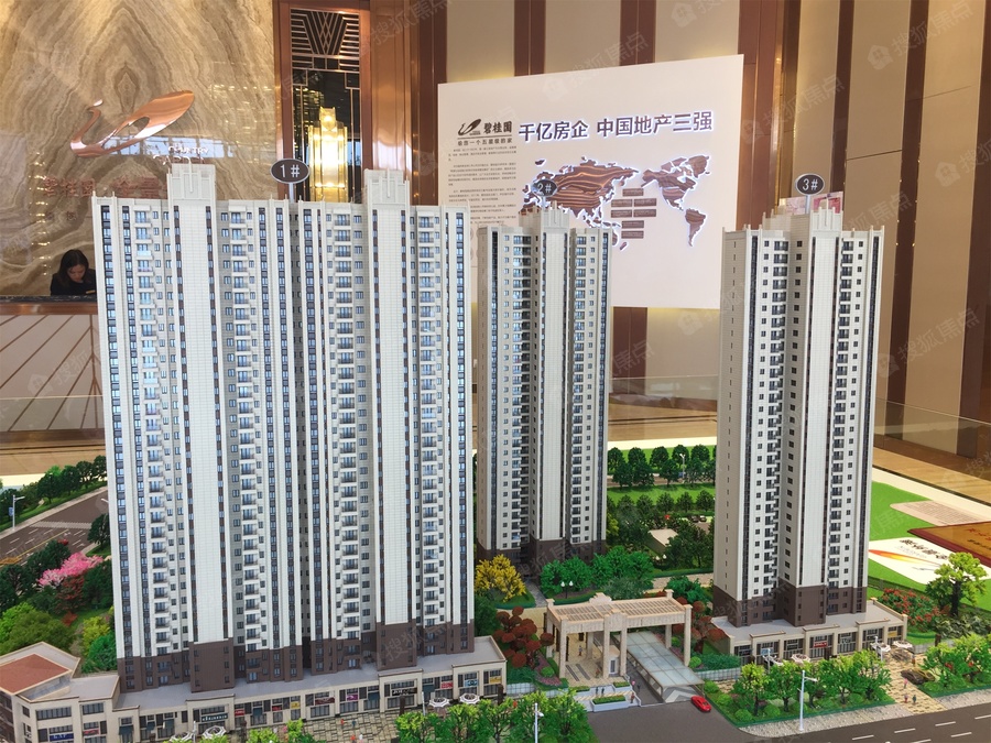 碧桂园全景外滩图片_样板间_装修效果图-武汉