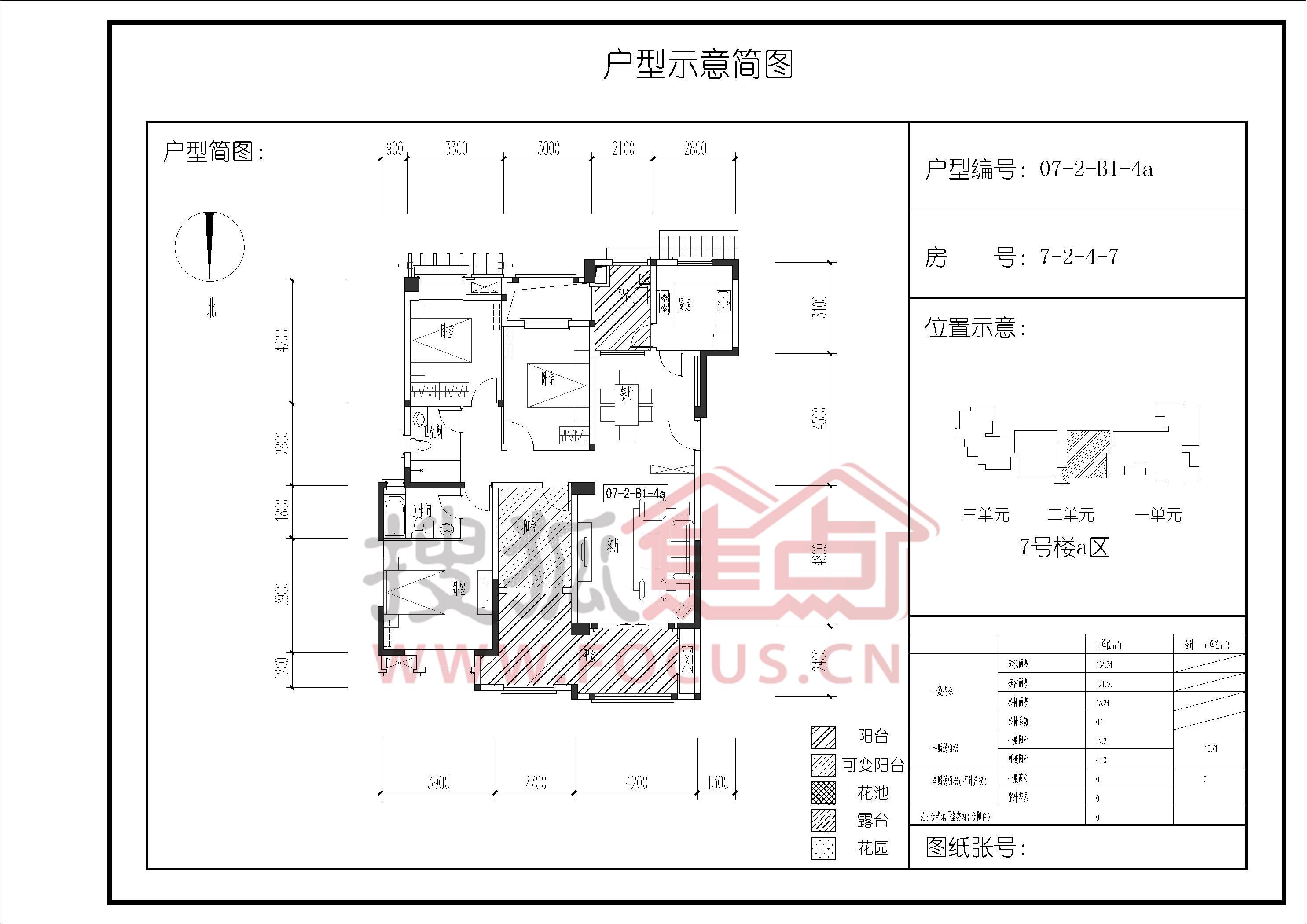 西班牙森林7